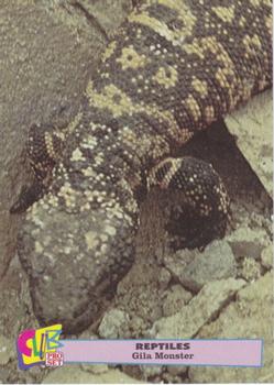 1992 Smithsonian Institute Reptiles #8 Gila Monster Front