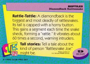 1992 Smithsonian Institute Reptiles #9 Diamondback Rattlesnakes Back