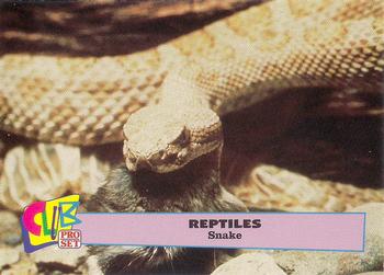 1992 Smithsonian Institute Reptiles - Silver #5 Snake Front