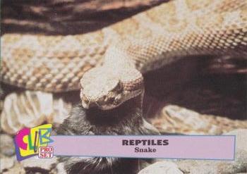 1992 Smithsonian Institute Reptiles - Silver #5 Snake Front