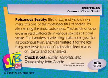 1992 Smithsonian Institute Reptiles - Silver #6 Common Coral Snake Back
