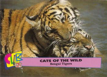 1992 Club Pro Set Cats of the Wild Promos #2 Bengal Tiger Front