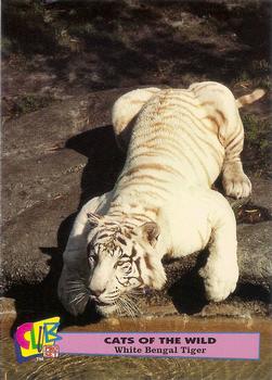 1992 Club Pro Set Cats of the Wild Promos #7 White Bengal Tiger Front
