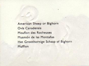 1957 Granose Foods Animal Life #NNO American Sheep or Bighorn Back