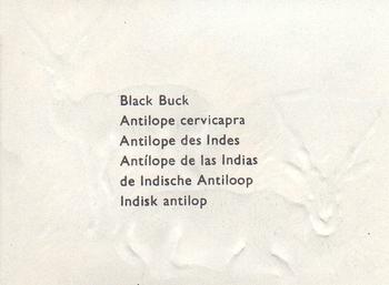 1957 Granose Foods Animal Life #NNO Black Buck Back