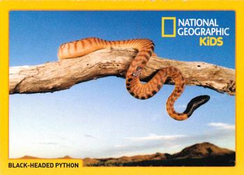 2018 National Geographic Kids June-July #NNO Black-Headed Python Front