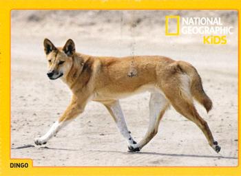 2018 National Geographic Kids June-July #NNO Dingo Front