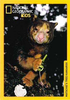 2018 National Geographic Kids June-July #NNO Matschie's Tree Kangaroo Front