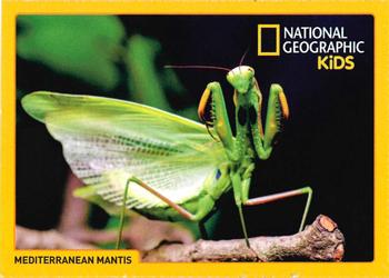 2018 National Geographic Kids June-July #NNO Mediterranean Mantis Front