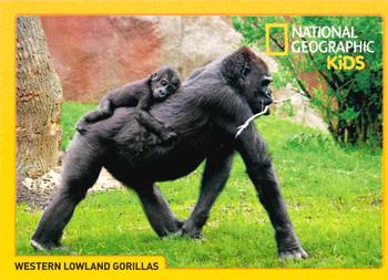 2018 National Geographic Kids June-July #NNO Western Lowland Gorilla Front