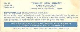 1969 Nabisco Sugar Daddy Wildlife Baby Animals Series 7 #40 Hippopotamus Back