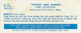 1969 Nabisco Sugar Daddy Wildlife Baby Animals Series 7 #50 Bobcat Back