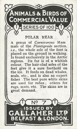 1921 Gallaher's Animals & Birds of Commercial Value #7 Polar Bear Back
