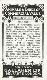 1921 Gallaher's Animals & Birds of Commercial Value #8 Marten Back