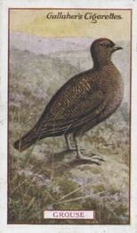 1921 Gallaher's Animals & Birds of Commercial Value #11 Grouse Front