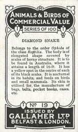 1921 Gallaher's Animals & Birds of Commercial Value #19 Diamond Snake Back
