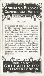 1921 Gallaher's Animals & Birds of Commercial Value #27 Macaw Back