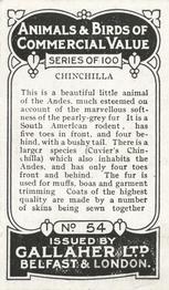 1921 Gallaher's Animals & Birds of Commercial Value #54 Chinchilla Back