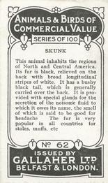 1921 Gallaher's Animals & Birds of Commercial Value #62 Skunk Back