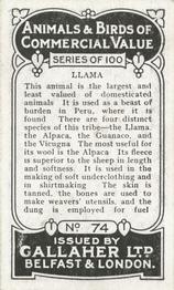 1921 Gallaher's Animals & Birds of Commercial Value #74 Llama Back