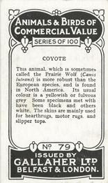 1921 Gallaher's Animals & Birds of Commercial Value #79 Coyote Back