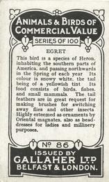 1921 Gallaher's Animals & Birds of Commercial Value #86 Egret Back