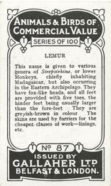 1921 Gallaher's Animals & Birds of Commercial Value #87 Lemur Back