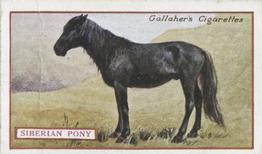 1921 Gallaher's Animals & Birds of Commercial Value #89 Siberian Pony Front