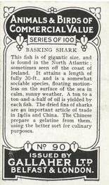 1921 Gallaher's Animals & Birds of Commercial Value #90 Basking Shark Back