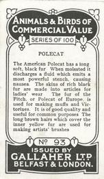 1921 Gallaher's Animals & Birds of Commercial Value #93 Polecat Back