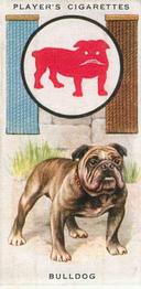 1933 Player's Boy Scout & Girl Guide Patrol Signs & Emblems #2 Bulldog Front