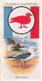 1933 Player's Boy Scout & Girl Guide Patrol Signs & Emblems #18 Herring Gull Front