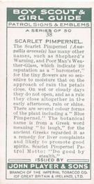 1933 Player's Boy Scout & Girl Guide Patrol Signs & Emblems #38 Scarlet Pimpernel Back