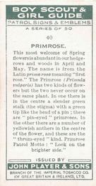 1933 Player's Boy Scout & Girl Guide Patrol Signs & Emblems #40 Primrose Back
