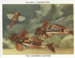 1932 Player's Aquarium Studies #13 The Sapphirine Gurnard Front