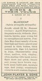 1937 Player's Birds & Their Young #1 Blackcap Back
