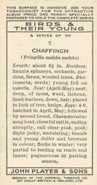 1937 Player's Birds & Their Young #5 Chaffinch Back