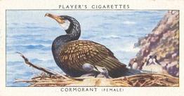 1937 Player's Birds & Their Young #7 Cormorant Front