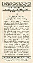 1937 Player's Birds & Their Young #11 Turtle Dove Back