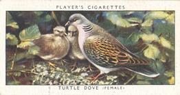 1937 Player's Birds & Their Young #11 Turtle Dove Front