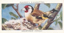 1937 Player's Birds & Their Young #15 European Goldfinch Front
