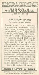 1937 Player's Birds & Their Young #20 Sparrow Hawk Back
