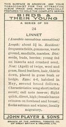 1937 Player's Birds & Their Young #24 Linnet Back