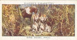 1937 Player's Birds & Their Young #27 Ring Ouzel Front