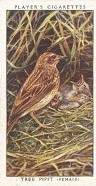 1937 Player's Birds & Their Young #30 Tree Pipit Front