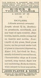 1937 Player's Birds & Their Young #33 Skylark Back