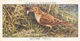 1937 Player's Birds & Their Young #33 Skylark Front