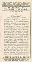 1937 Player's Birds & Their Young #37 Swallow Back