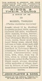 1937 Player's Birds & Their Young #39 Missel Thrush Back