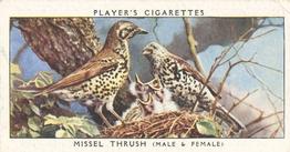 1937 Player's Birds & Their Young #39 Missel Thrush Front